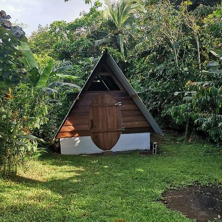 Cabana Chalet Cariari  Zewnętrze zdjęcie